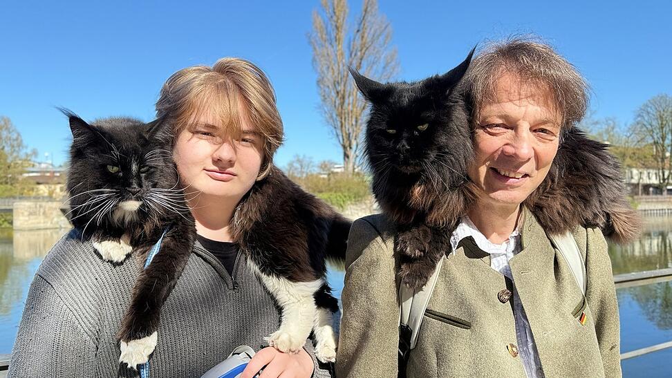 Lebendige Fellkragen: Die beiden Maine-Coon-Katzen Leia (links) und Jango sitzen oft auf den Schultern von Manfred Nammari und seinem Sohn.