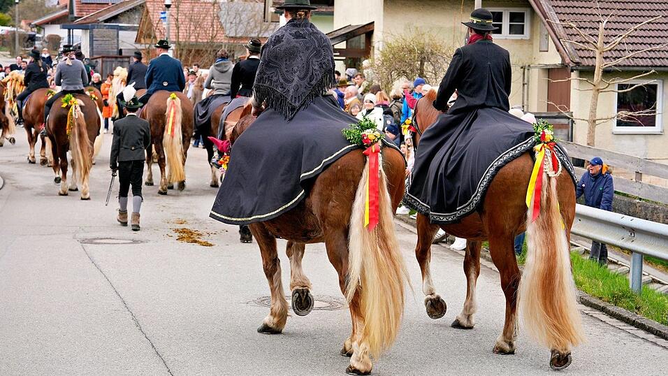 Auch hinten herausgeputzt - die Pferde beim Georgiritt.
