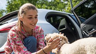 Warum überhaupt Urlaub mit Hund? Der Hund ist für viele ein vollwertiges Familienmitglied.