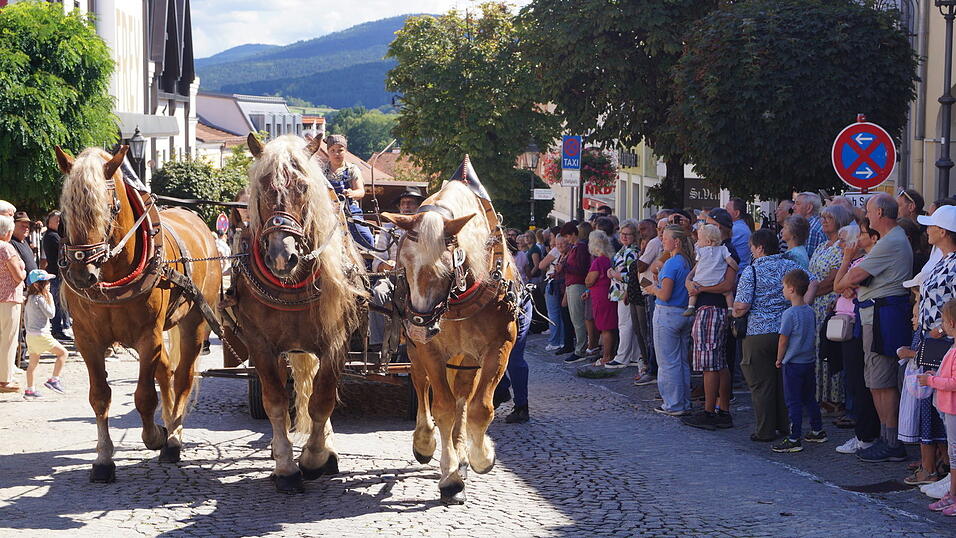 Das war der 35. Bad K&ouml;tztinger Rosstag: Bilder vom Festumzug.