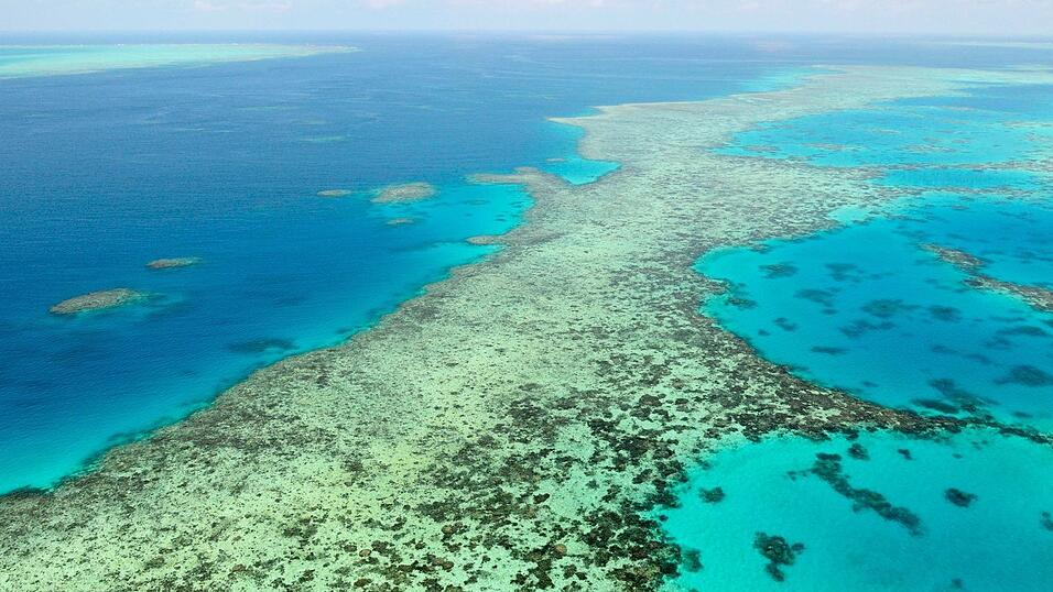 Das Great Barrier Reef geh&ouml;rt zu den gr&ouml;&szlig;ten Naturwundern der Erde - Haiangriffe sind hier aber selten. (Archivbild)