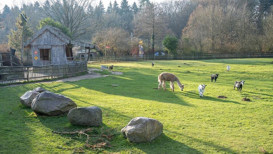 Nach Auffassung des Landgerichts Stralsund hat der Vogelpark Marlow seine Pflichten erf&uuml;llt. (Archivbild)
