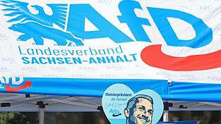 In Sachsen-Anhalt wird am 6. September ein neuer Landtag gewählt. (Archivbild) In Sachsen-Anhalt wird am 6. September ein neuer Landtag gewählt. (Archivbild)