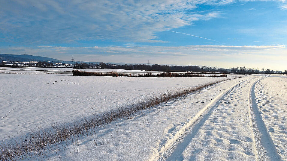 Auch an einem kalten Wintertag ist ein Spaziergang in den Donauauen und auf dem Donaudamm in der Gemeinde Aholfing schön. Auch an einem kalten Wintertag ist ein Spaziergang in den Donauauen und auf dem Donaudamm in der Gemeinde Aholfing schön.