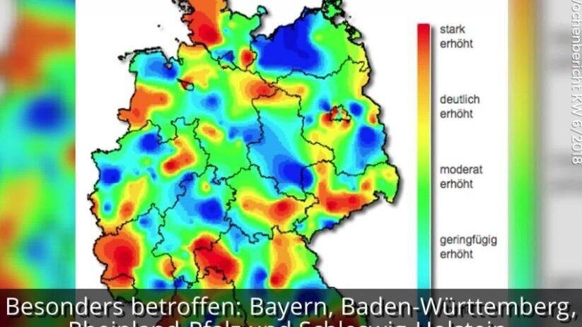 In Bayern ist die Grippe auf dem Vormarsch. Hier wurden besonders viele Fälle gemeldet. In Bayern ist die Grippe auf dem Vormarsch. Hier wurden besonders viele Fälle gemeldet.