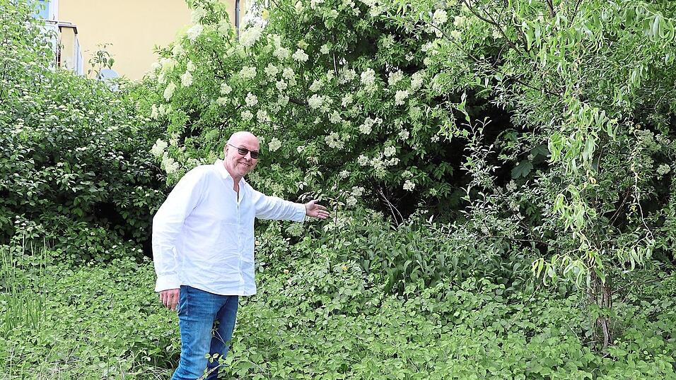 Unter dem Holunderstrauch und der Ramblerrose l&auml;sst Dekan Josef K. Geismar auch den Brennnesseln ihren Platz.