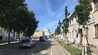 Ein Punkt des Masterplans ist die Schaffung von mehr Grün in der Stadt, um die Sommerhitze erträglicher zu machen. Die Stadt hat bereits an mehreren Stellen wie hier an der Heerstraße damit begonnen. Ein Punkt des Masterplans ist die Schaffung von mehr Grün in der Stadt, um die Sommerhitze erträglicher zu machen. Die Stadt hat bereits an mehreren Stellen wie hier an der Heerstraße damit begonnen.