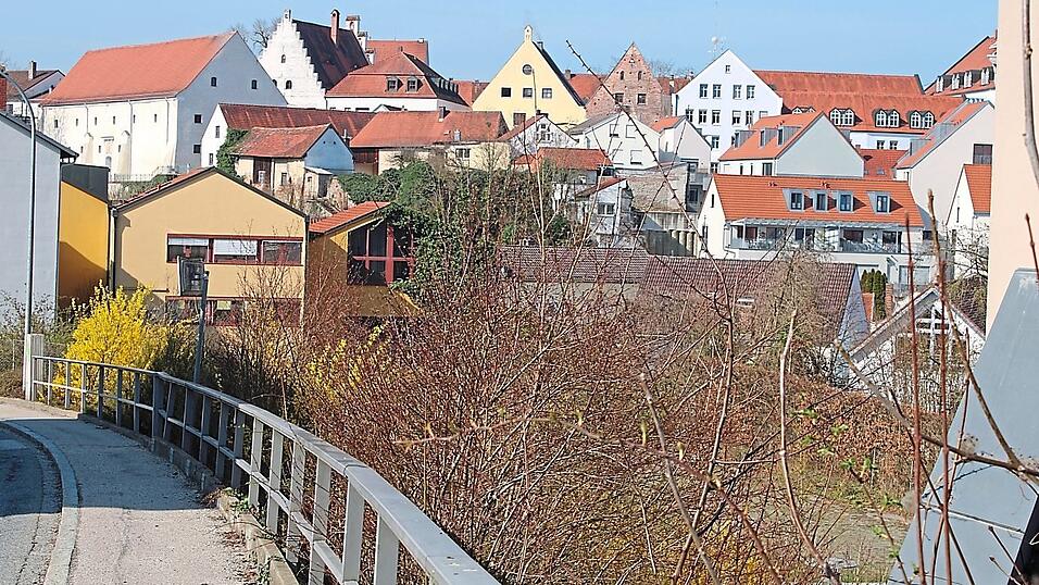 Ansicht von der Reisbacher Stra&szlig;e nach unten: Hinter den Str&auml;uchern liegt das Areal, auf dem ein Erweiterungsbau des B&uuml;rgerheims entstehen k&ouml;nnte. Machbar w&auml;re auch die Anbindung an den bestehenden Wohnbereich (am Bildrand ganz rechts zu erkennen). Links im Bild: Der Bestand in der Griesgasse.