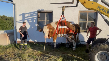 Mit dem Hebegeschirr kann die Feuerwehr Langgraben bestm&ouml;gliche Hilfe im Bereich der Tierrettung leisten.