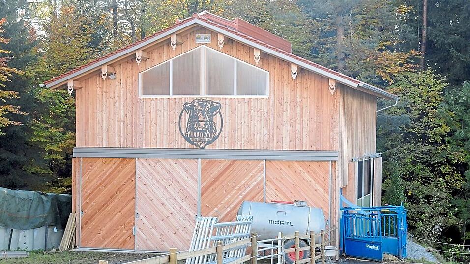 Der neue Mutterkuhstall bietet Kühen und Kälbern Schutz und ein trockenes Lager. Der neue Mutterkuhstall bietet Kühen und Kälbern Schutz und ein trockenes Lager.