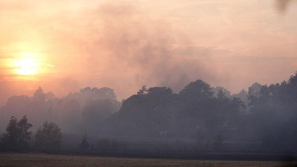 Die Einsatzkräfte bekämpften die Flammen in verschiedenen Gebieten gleichzeitig. Die Einsatzkräfte bekämpften die Flammen in verschiedenen Gebieten gleichzeitig.