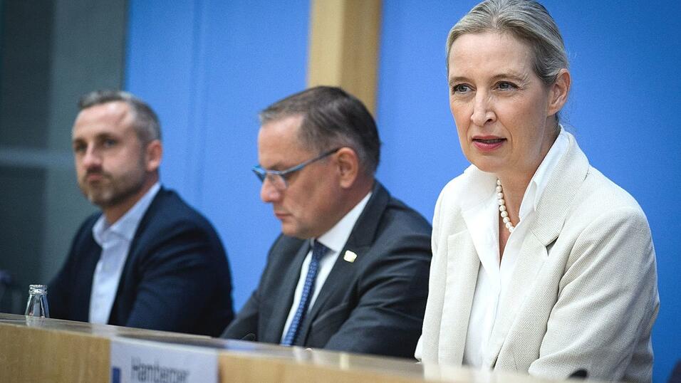 Will gegen irreguläre Migration vorgehen: AfD-Co-Chefin Alice Weidel. Will gegen irreguläre Migration vorgehen: AfD-Co-Chefin Alice Weidel.