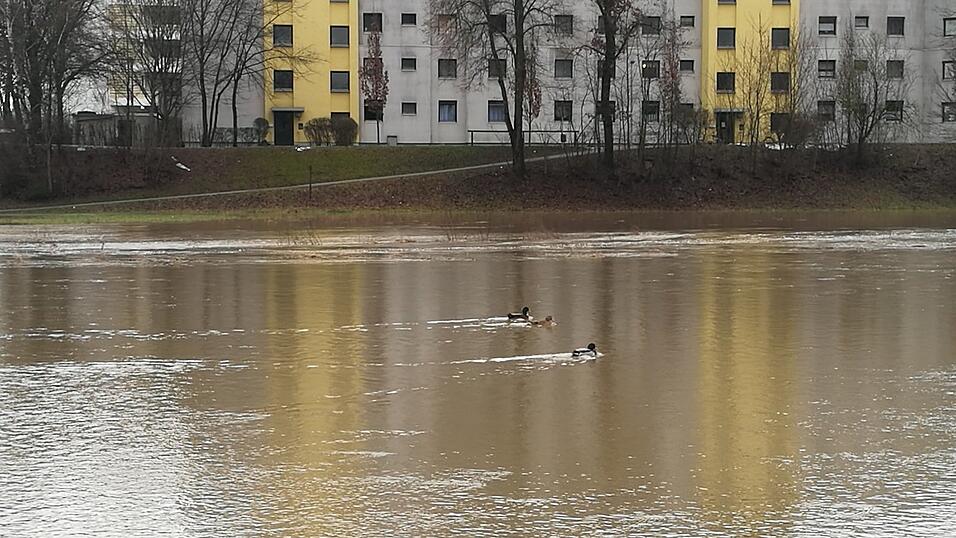 Die Flutmulde ist gesperrt, weil die Pfettrach &uuml;ber die Ufer getreten ist.