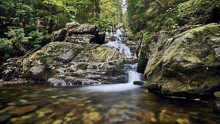 Die Ri&szlig;lochwasserf&auml;lle sind Teil des &bdquo;Wildes-Wasser-Wegs&ldquo;.