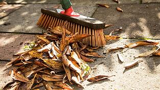 Bei einem Nachbarschaftsstreit in Achdorf kam laut Anklage ein Besen zum Einsatz - als Wurfgeschoss. Bei einem Nachbarschaftsstreit in Achdorf kam laut Anklage ein Besen zum Einsatz - als Wurfgeschoss.