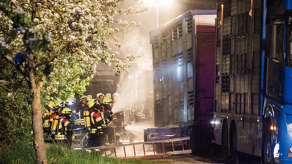Kniffliger Einsatz f&uuml;r die Feuerwehren aus Rohr/Ndb. und Obereulenbach am sp&auml;ten Donnerstagabend. Ein Schweinetransporter hatte auf dem Weg zum Schlachthof Feuer gefangen. Neun der Tiere kamen durch den Stress und den giftigen Rauch ums Leben.