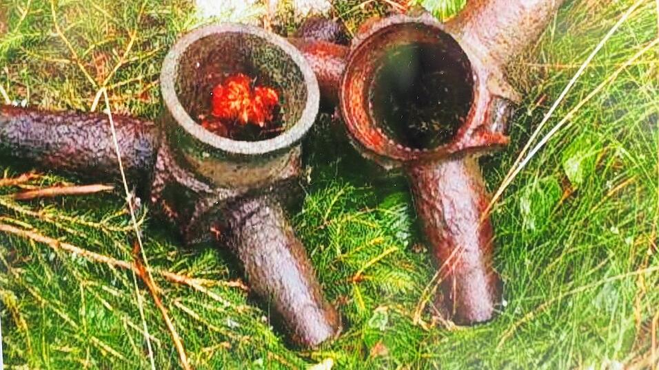 77 Jahre nach Kriegsende kündeten zwei Propellernaben vom Absturz eines englischen Bombers am Bärenriegel. 77 Jahre nach Kriegsende kündeten zwei Propellernaben vom Absturz eines englischen Bombers am Bärenriegel.