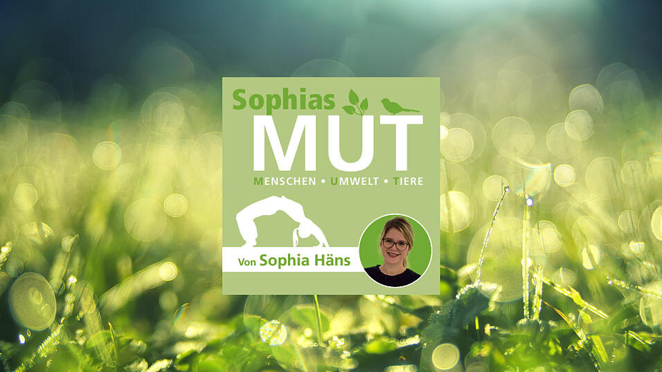 Bei der Serie Sophias MUT schreibt Freistunde-Redakteurin Sophia Häns über Umweltthemen.