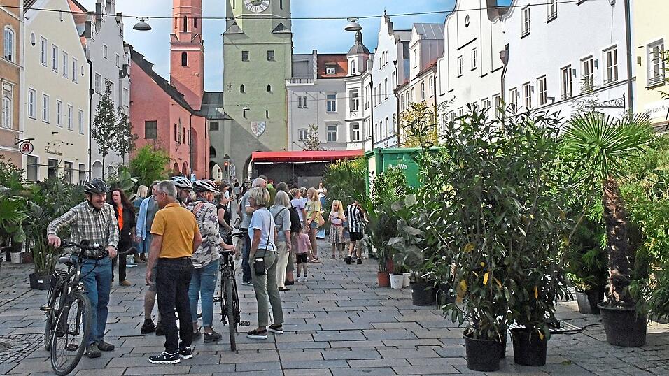Das Erlebnisfestival Silicon Vilstal findet seit einigen Jahren in Vilsbiburg statt. Dabei wird auch stets der Stadtplatz mit in das jeweilige Programm mit einbezogen. Unter dem Motto &bdquo;Heimat f&uuml;r Neues&ldquo; feiert das Festival heuer im September sein zehnj&auml;hriges Bestehen.