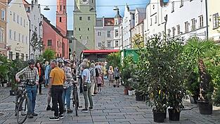 Das Erlebnisfestival Silicon Vilstal findet seit einigen Jahren in Vilsbiburg statt. Dabei wird auch stets der Stadtplatz mit in das jeweilige Programm mit einbezogen. Unter dem Motto &bdquo;Heimat f&uuml;r Neues&ldquo; feiert das Festival heuer im September sein zehnj&auml;hriges Bestehen.