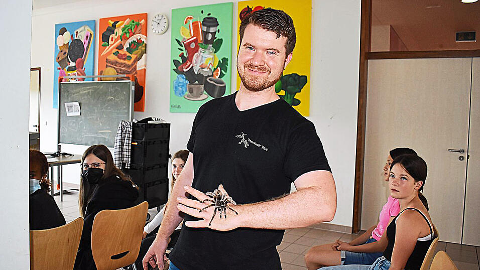 Alex Roeck Vogelspinne und Ochsenfrosch