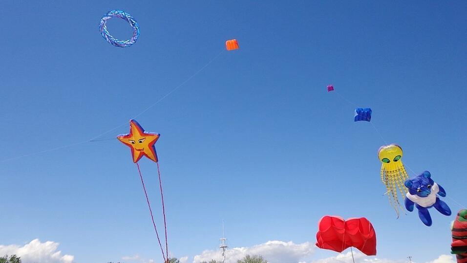 Bilder zum Thema Bilder zum Thema