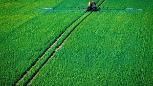 Ein Traktor zieht eine Spritzmaschine über ein Rapsfeld und versprüht Pflanzenschutzmittel.