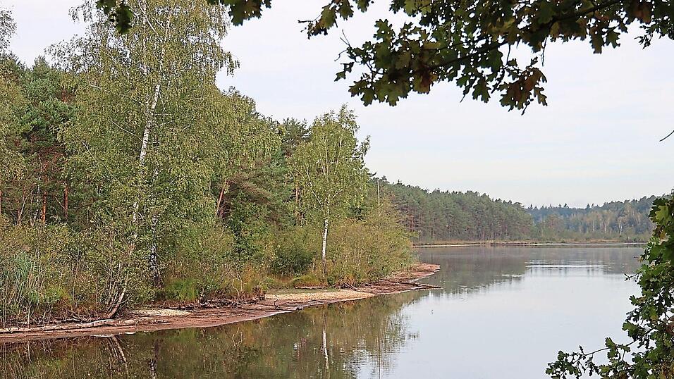 Ein immer noch zwei bis vier Meter breiter Uferstreifen zieht sich um den Kammerweiher. Der h&auml;tte normalerweise eigentlich doppelt so viel Wasser, sch&auml;tzt Albert Schmidbauer, Gew&auml;sserwart des Fischereivereins. Das Niedrigwasser k&ouml;nnte nun Folgen f&uuml;r die Besatzma&szlig;nahmen haben.