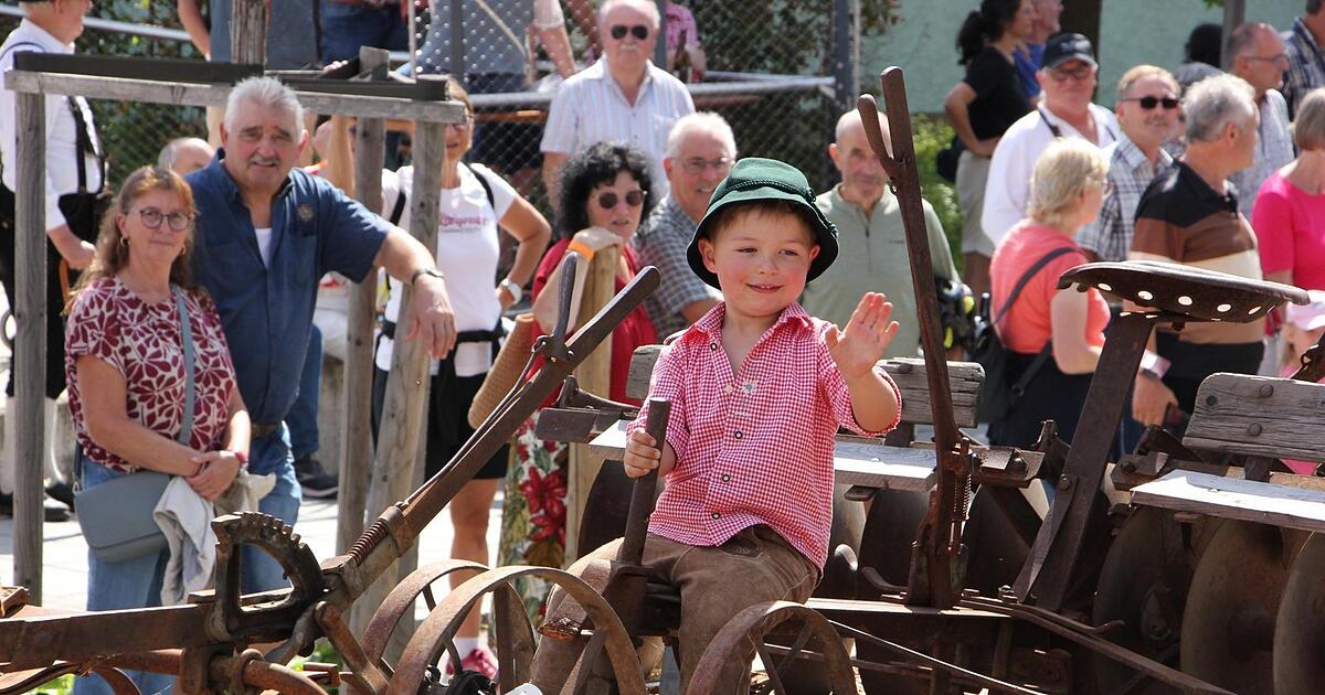 Der 36. Rosstag in Bad Kötzting: Das sind die schönsten Bilder