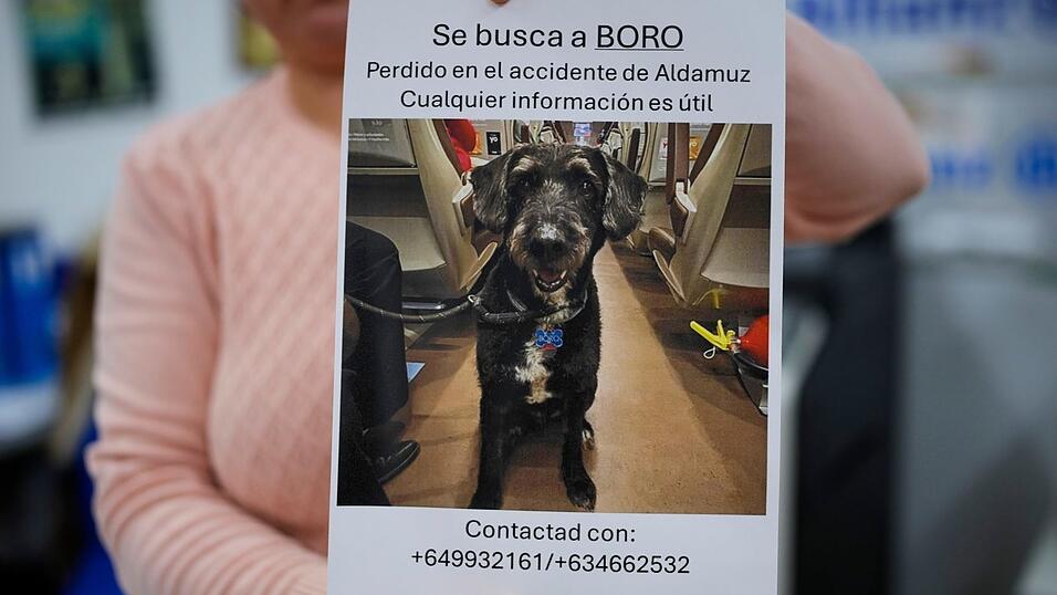 Über diese Familienzusammenführung freut sich ganz Spanien. Über diese Familienzusammenführung freut sich ganz Spanien.