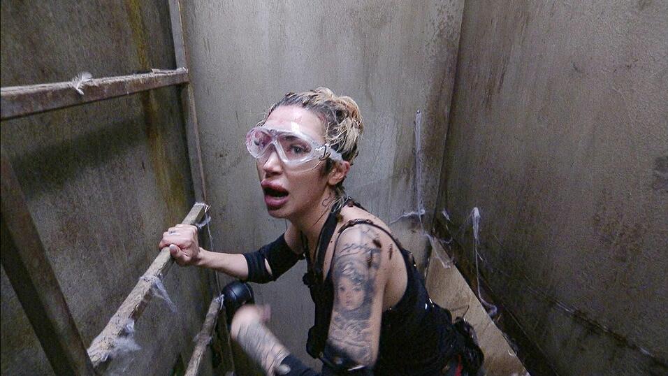 Holt tatsächlich vier Sterne: Ariel, das Dschungel-Küken - oder «Mäusele», wie Ofarim sagt. Holt tatsächlich vier Sterne: Ariel, das Dschungel-Küken - oder «Mäusele», wie Ofarim sagt.