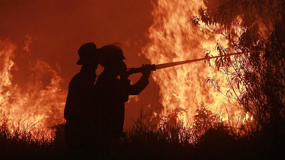 Die Feuer haben verheerende Sch&auml;den angerichtet.