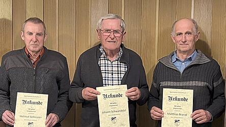 Die anwesenden Geehrten (v.l.) Helmut Sellmaier, Johann Schwarzbözl und Matthias Brandl.