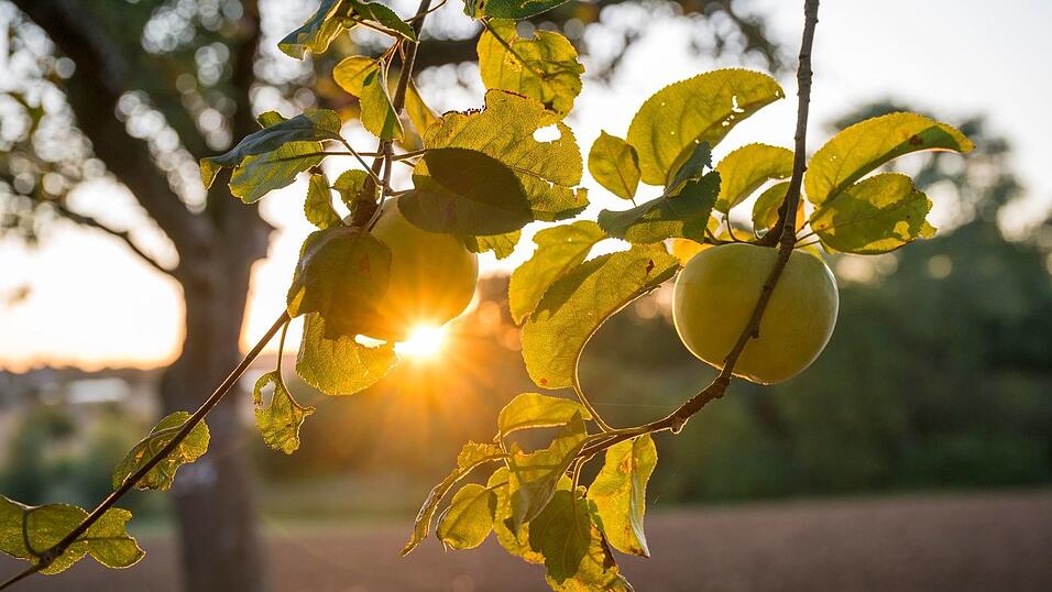 Die Sonne zeigt sich bis zur Wochenmitte noch öfter in Deutschland.
