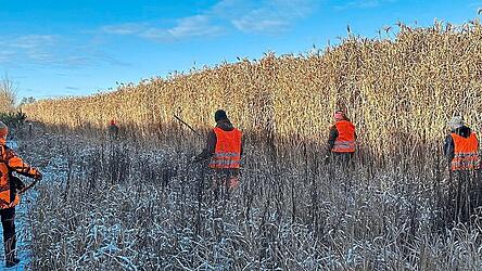 Anblicke wie diese k&ouml;nnten Naturmenschen k&uuml;nftig h&auml;ufiger antreffen, wenn die Jagdnovelle eintritt, meint Markus Landsmann.