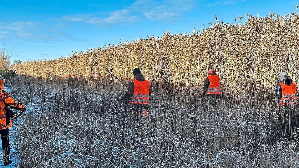 Anblicke wie diese k&ouml;nnten Naturmenschen k&uuml;nftig h&auml;ufiger antreffen, wenn die Jagdnovelle eintritt, meint Markus Landsmann.