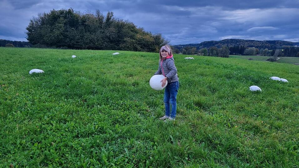 Luisa Heuschneider präsentiert stolz den Schatz, den sie gefunden hat - hinter ihr noch mehr der Riesenpilze in der Wiese. Luisa Heuschneider präsentiert stolz den Schatz, den sie gefunden hat - hinter ihr noch mehr der Riesenpilze in der Wiese.