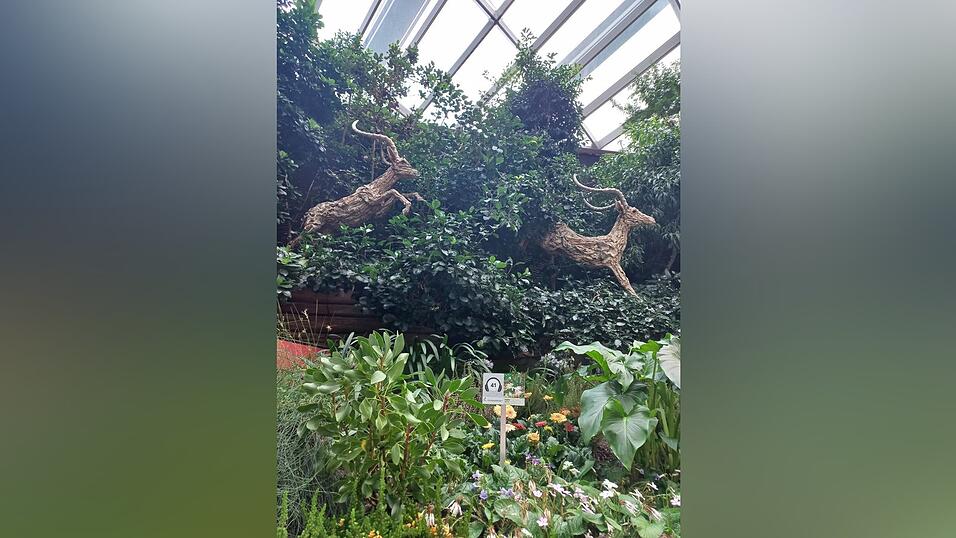 Bilder aus dem vorweihnachtlichen Singapur.