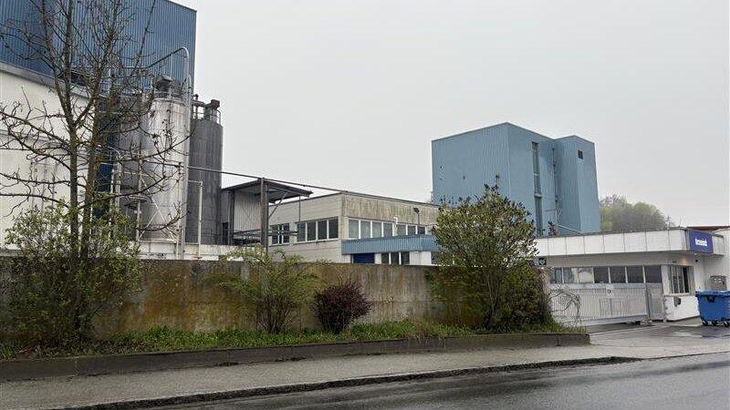 So sieht das Deceuninck-Werk in Bogen heute aus.