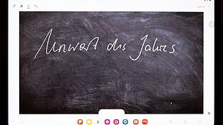 Der Begriff &laquo;Sonderverm&ouml;gen&raquo; ist zum &laquo;Unwort des Jahres&raquo; gek&uuml;rt worden. (Archivbild)