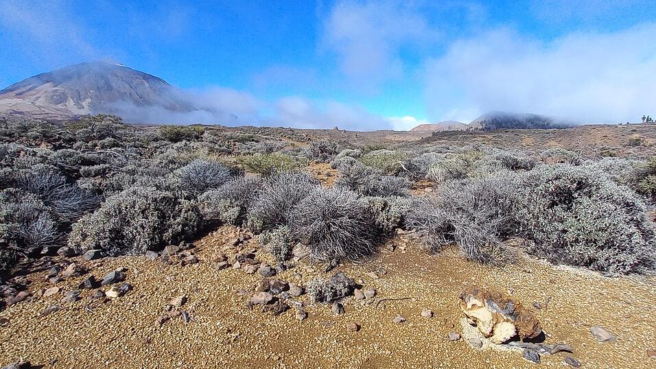 Wanderungen durch die Natur, steile Straßen durch kleine Städte und wunderschöne Strände: Katis Eindrücke aus Teneriffa.