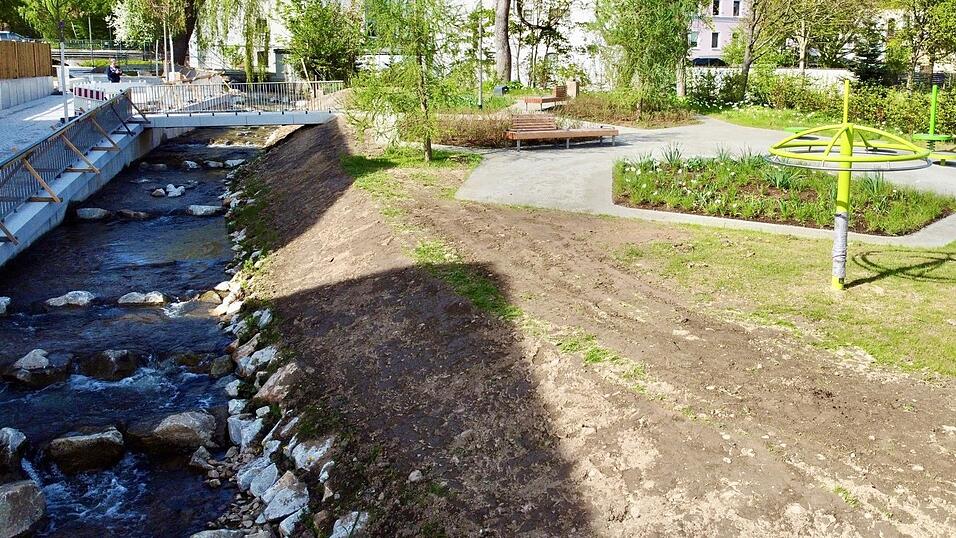 Dass der Auftragnehmer bzw. dessen Subunternehmer den Wachstumserfolg der Gr&uuml;nfl&auml;chen auf der Hofer-Insel falsch eingesch&auml;tzt hatte, zeigt dieses Foto von Ende April. Deshalb wurde in der vergangenen Woche Rollrasen verlegt. Nun geht's darum, wer die Kosten daf&uuml;r tr&auml;gt.