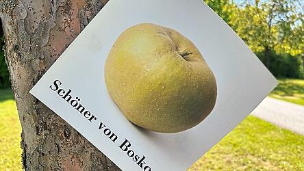 Die Infoschilder geben Auskunft &uuml;ber Reifezeit, Verwendung und Geschmack der Fr&uuml;chte.