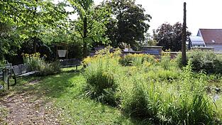 Im Sommer trifft sich die Gruppe im Klostergarten. Im Sommer trifft sich die Gruppe im Klostergarten.
