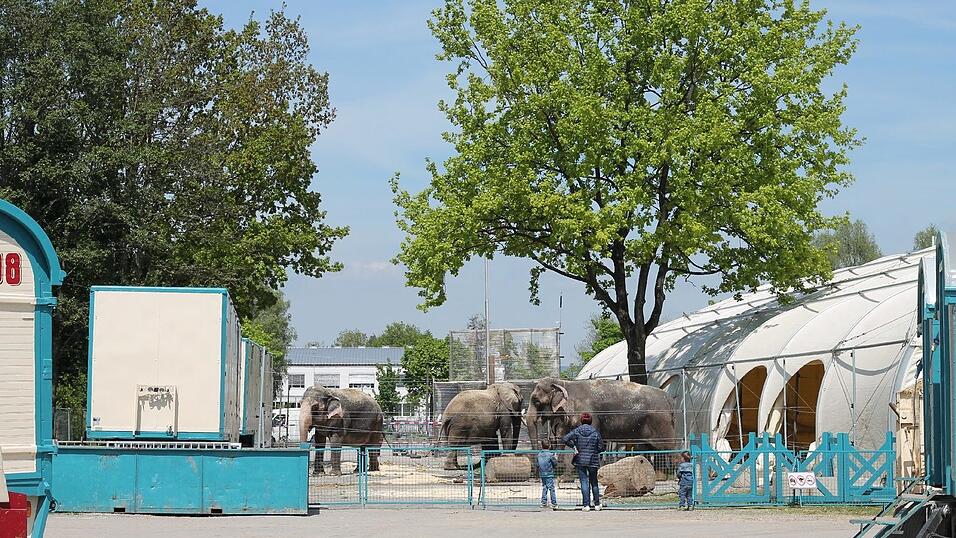 Bis zum 17. Mai gastiert der Circus Krone in Straubing. Wir haben uns angeschaut, wie es hinter den Kulissen aussieht. Bis zum 17. Mai gastiert der Circus Krone in Straubing. Wir haben uns angeschaut, wie es hinter den Kulissen aussieht.