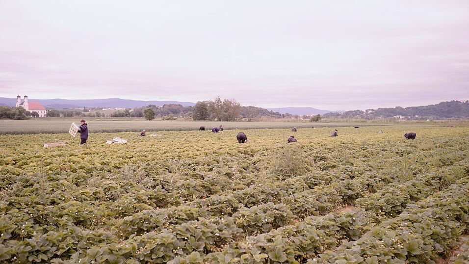 Zwischen Unterkunft, Erdbeerfeld und der Sehnsucht nach Heimat: Erntehelfer in Niederbayern.