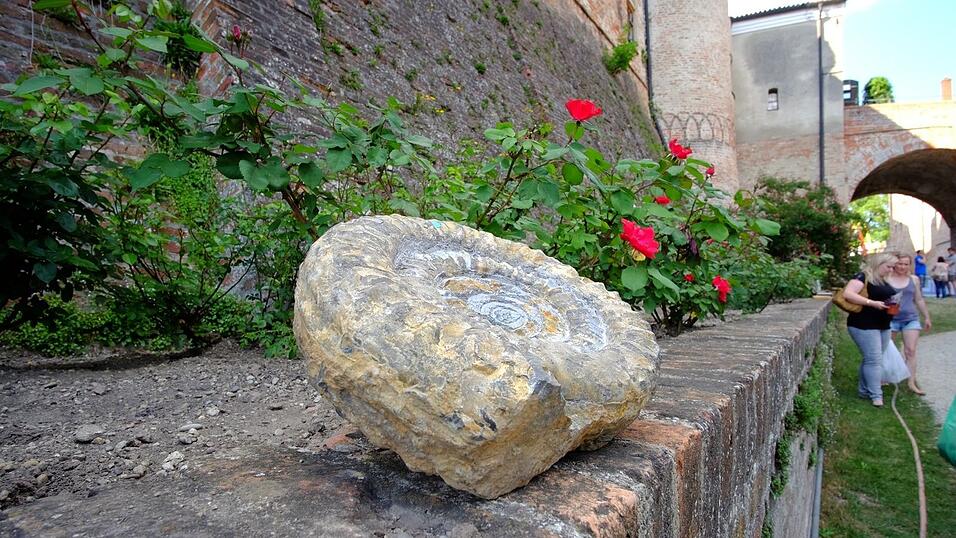 Herrliche Eindrücke vom Gartenfestival 2018 auf der Burg Trausnitz in Landshut. Herrliche Eindrücke vom Gartenfestival 2018 auf der Burg Trausnitz in Landshut.