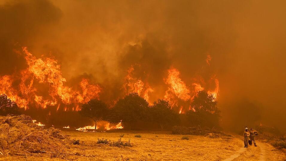 Die Brandbekämpfer sehen sich teilweise mit riesigen Feuerwänden konfrontiert, die durch stürmische Winde jederzeit blitzartig die Richtung ändern können. Die Brandbekämpfer sehen sich teilweise mit riesigen Feuerwänden konfrontiert, die durch stürmische Winde jederzeit blitzartig die Richtung ändern können.