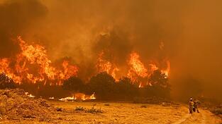 Die Brandbekämpfer sehen sich teilweise mit riesigen Feuerwänden konfrontiert, die durch stürmische Winde jederzeit blitzartig die Richtung ändern können.