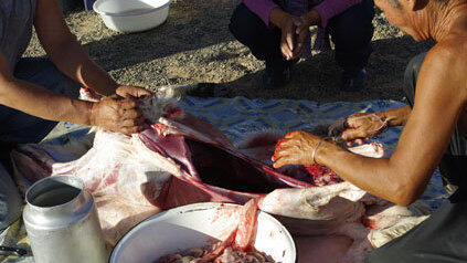 Imke Hansen und Andreas Goldbrunner reisen um die Welt. Auf in die Wüste Gobi Imke Hansen und Andreas Goldbrunner reisen um die Welt. Auf in die Wüste Gobi